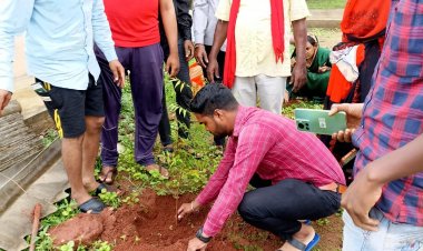 ग्राम  सुंदरकेरा में मनाया गया हरियाली दिवस।