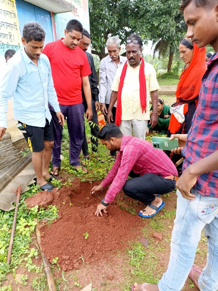 ग्राम  सुंदरकेरा में मनाया गया हरियाली दिवस।