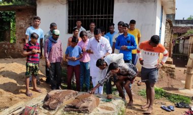 ग्राम पौंता में चबूतरा एवम मंदिर निर्माण  के लिए भूमिपूजन किया गया।