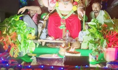 पलौद गणेश झांकी में जगमगाती लाइटों एवम डीजे के धुन पर झूमें लोग।