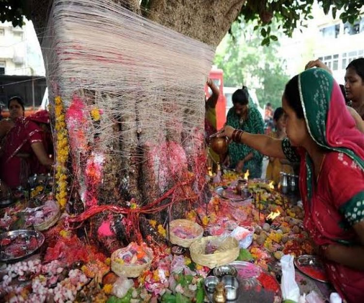 विधानसभा क्षेत्र में जगह जगह सुहागिनो ने वट सावित्री पूजा कर पति की लंबी आयु की कामना