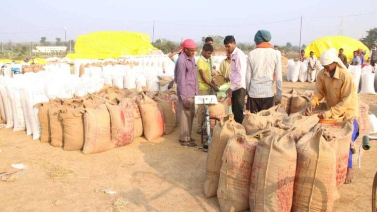 छत्तीसगढ़ में कल से शुरू होगी धान खरीदी : खाद्य मंत्री दयालदास बोले – किसानों का धान खरीदना सरकार की प्राथमिकता, समस्याओं के निराकरण के लिए हेल्पलाइन नंबर भी जारी