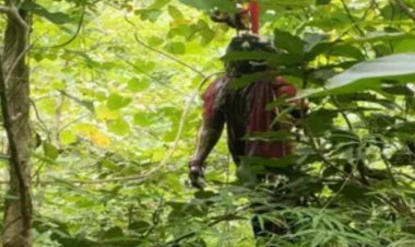 CG News : पेड़ पर लटका मिला युवक-युवती का शव, पुलिस ने प्रेम प्रसंग का बताया मामला