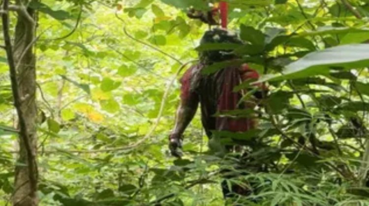 CG News : पेड़ पर लटका मिला युवक-युवती का शव, पुलिस ने प्रेम प्रसंग का बताया मामला