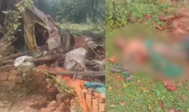 CG News : हाथी ने बुजुर्ग महिला को कुचला, कई घरों को भी पहुंचाया नुकसान