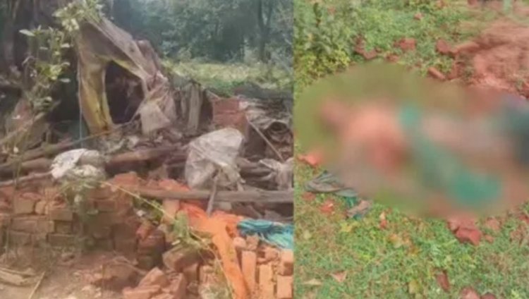 CG News : हाथी ने बुजुर्ग महिला को कुचला, कई घरों को भी पहुंचाया नुकसान