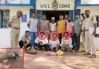CG NEWS: जिंदा पैंगोलिन के साथ 3 अंतरराज्यीय तस्कर गिरफ्तार…