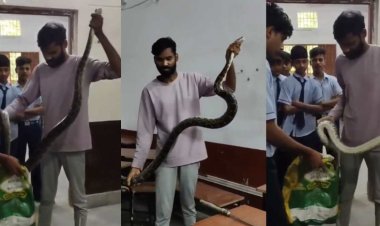 CG NEWS: क्लासरूम में बैठा था विशालकाय अजगर, फुंकार से छात्रों में मचा हड़कंप, देखें कैसे हुआ रेस्क्यू…