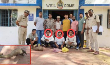 CG NEWS: जिंदा पैंगोलिन के साथ 3 अंतरराज्यीय तस्कर गिरफ्तार…
