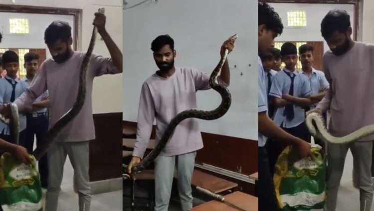 CG NEWS: क्लासरूम में बैठा था विशालकाय अजगर, फुंकार से छात्रों में मचा हड़कंप, देखें कैसे हुआ रेस्क्यू…