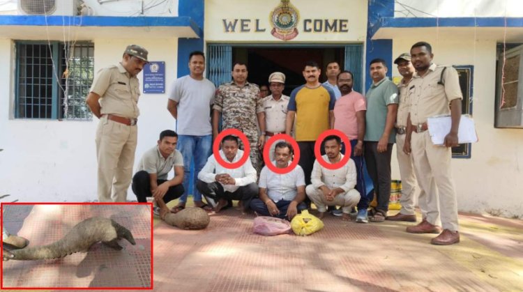 CG NEWS: जिंदा पैंगोलिन के साथ 3 अंतरराज्यीय तस्कर गिरफ्तार…
