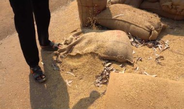 केंद्री धान खरीदी केंद्र अभनपुर में भारी अव्यवस्था धान सड़ रहा, चूहे काट रहे बारदाने, गोदाम में पड़ी खाद भी खराब – जिम्मेदार कौन?