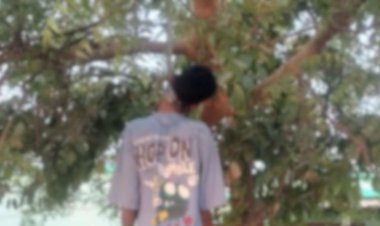 स्कूल के सामने फांसी के फंदे पर लटकी मिली युवक की लाश, मची सनसनी…